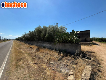 terreno agricolo in vendita a Massafra