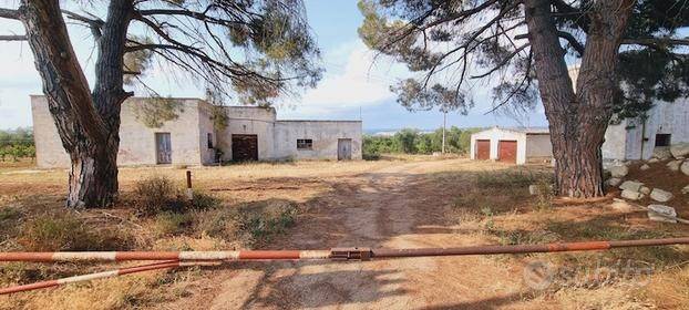 terreno agricolo in vendita a Massafra