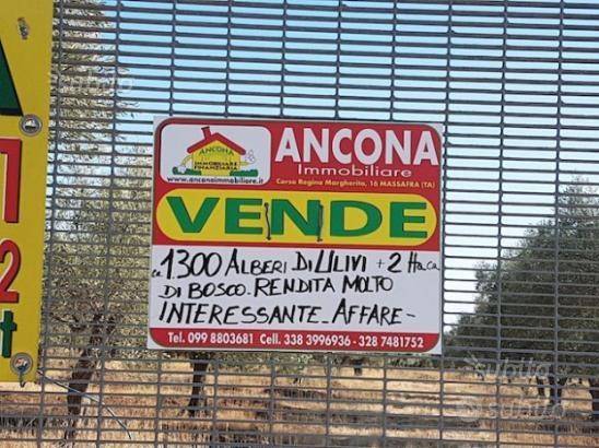 terreno agricolo in vendita a Massafra