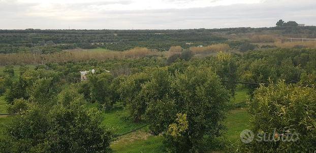 terreno agricolo in vendita a Massafra