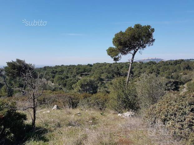 terreno agricolo in vendita a Massafra