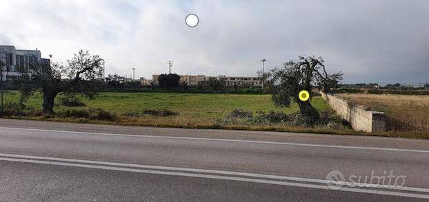terreno agricolo in vendita a Massafra