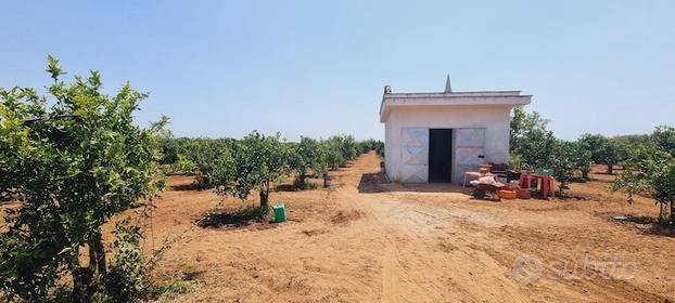 terreno agricolo in vendita a Massafra