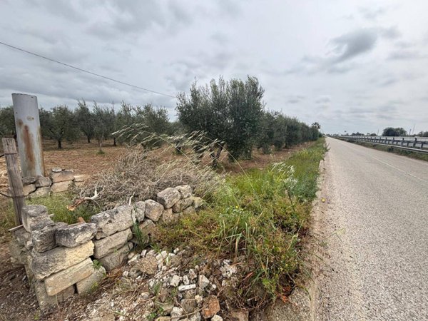 terreno agricolo in vendita a Massafra in zona Marina di Ferrara