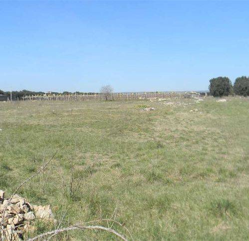 terreno agricolo in vendita a Monteiasi