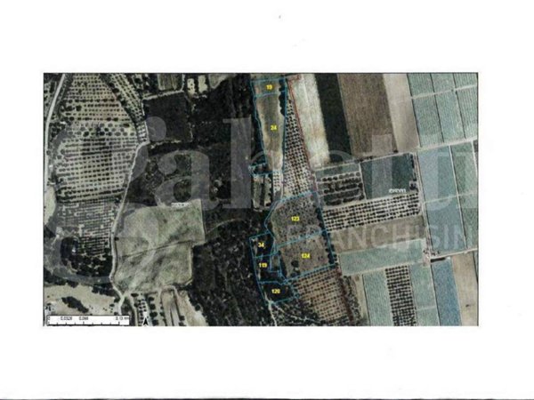 terreno in vendita a Montemesola