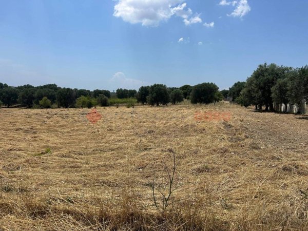 terreno agricolo in vendita a Monteparano