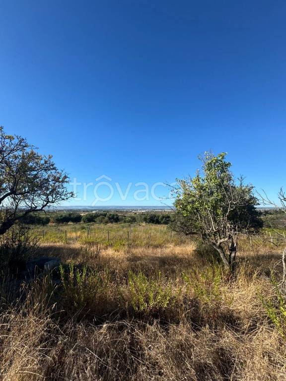 villetta a schiera in vendita a Monteparano