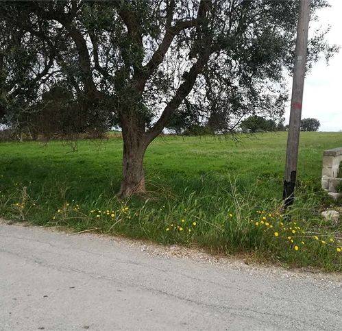 casa indipendente in vendita a Monteparano