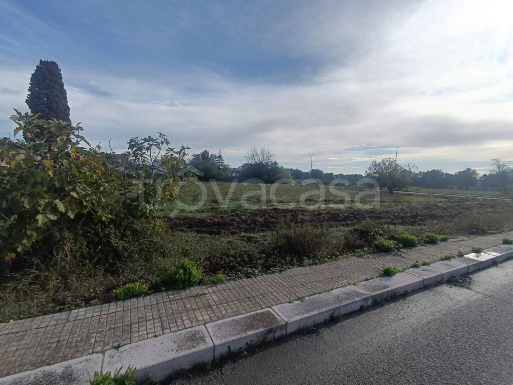 terreno agricolo in vendita a Monteparano