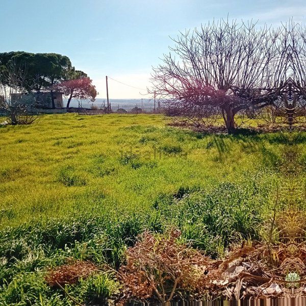 casa indipendente in vendita a Monteparano