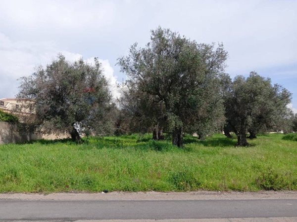 casa indipendente in vendita a Monteparano