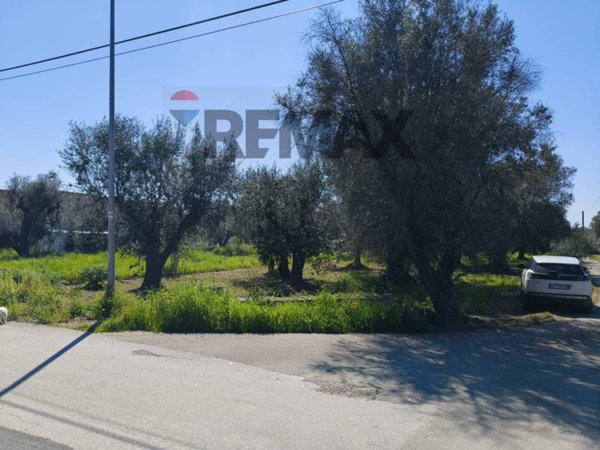 terreno agricolo in vendita a Monteparano