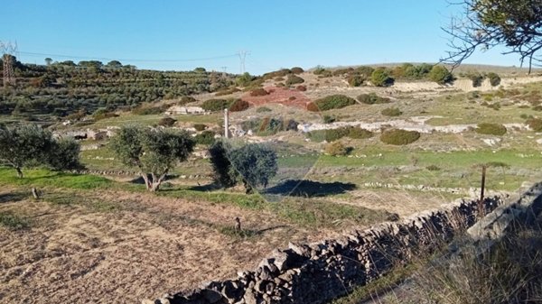 terreno agricolo in vendita a Mottola
