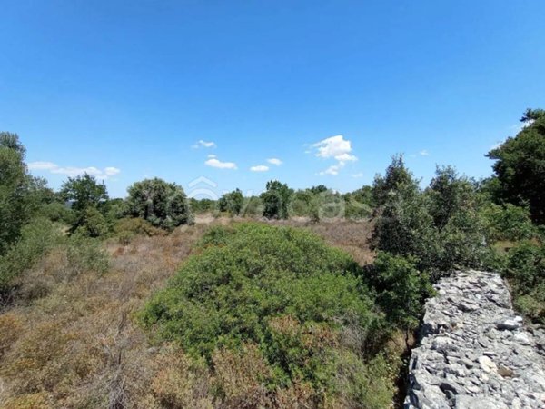 terreno agricolo in vendita a Mottola