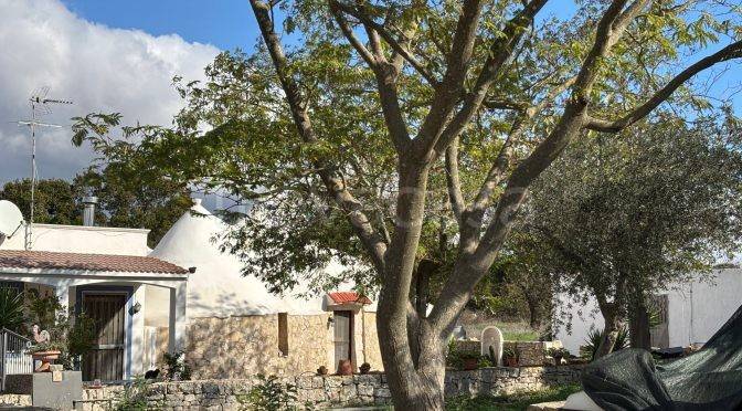 casa indipendente in vendita a Mottola
