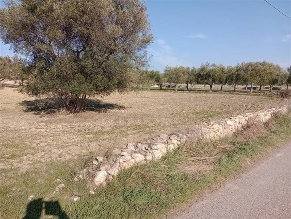 terreno agricolo in vendita a Mottola