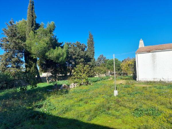 terreno agricolo in vendita a Mottola