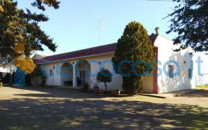 casa indipendente in vendita a Mottola
