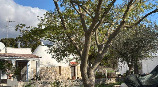 casa indipendente in vendita a Mottola