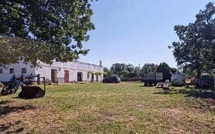 terreno agricolo in vendita a Mottola