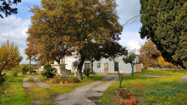 appartamento in vendita a Mottola in zona San Basilio