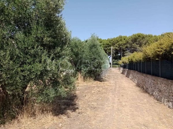 terreno agricolo in vendita a Mottola