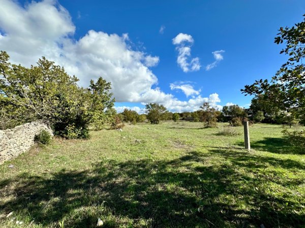 terreno agricolo in vendita a Mottola