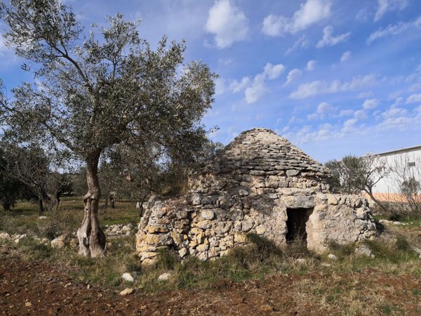 monolocale in vendita a Mottola