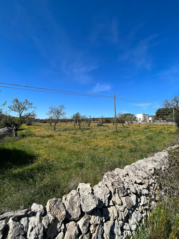 terreno agricolo in vendita a Mottola