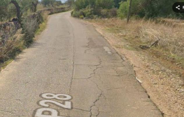 terreno agricolo in vendita a Mottola