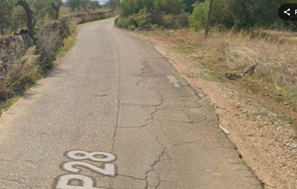 terreno agricolo in vendita a Mottola