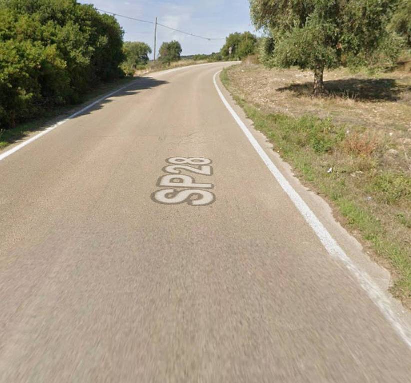 terreno agricolo in vendita a Mottola