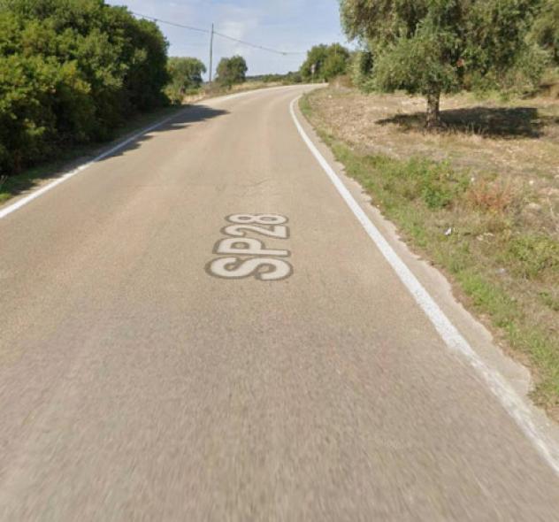 terreno agricolo in vendita a Mottola