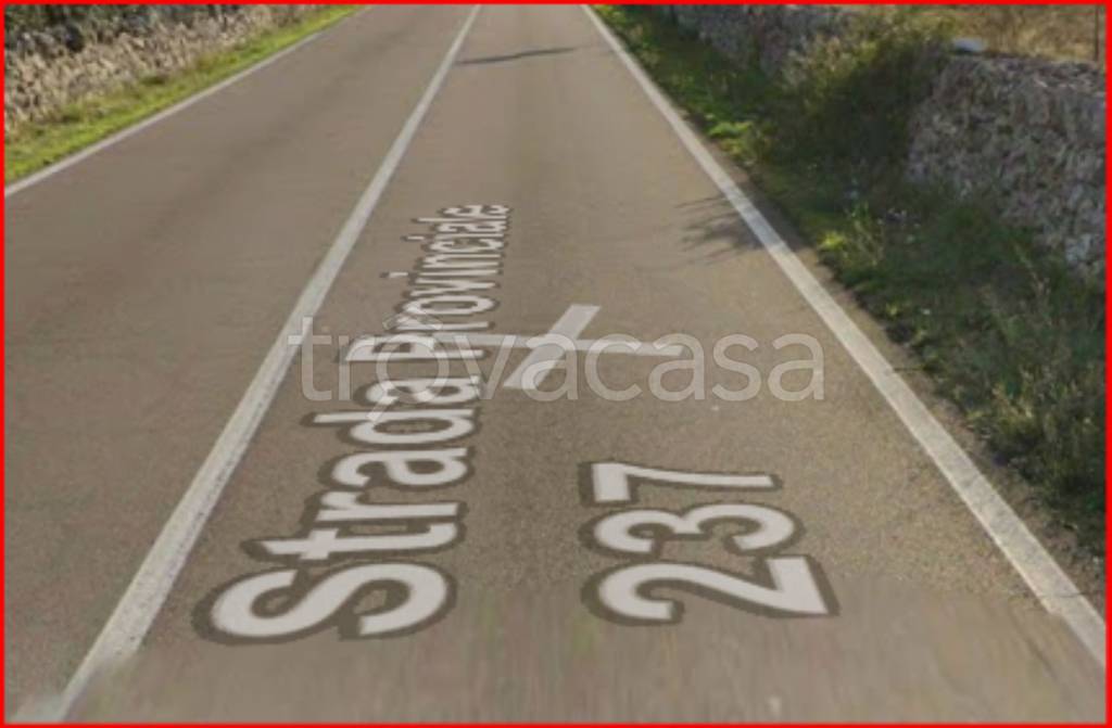 terreno agricolo in vendita a Mottola