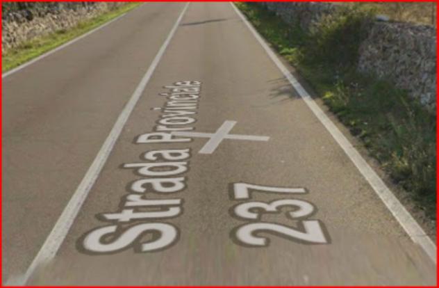 terreno agricolo in vendita a Mottola