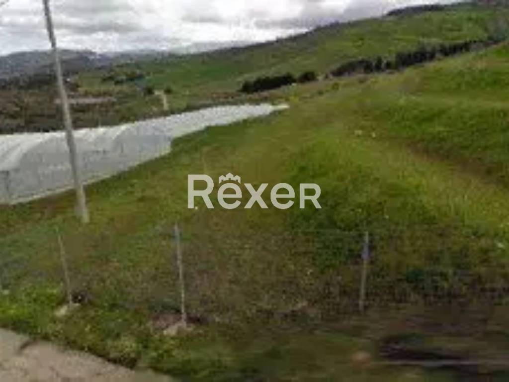 terreno agricolo in vendita a Mottola