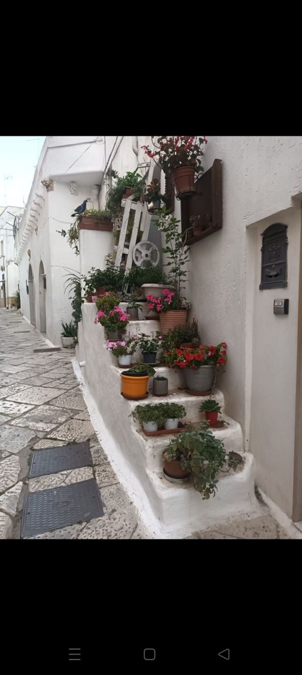 casa indipendente in vendita a Mottola