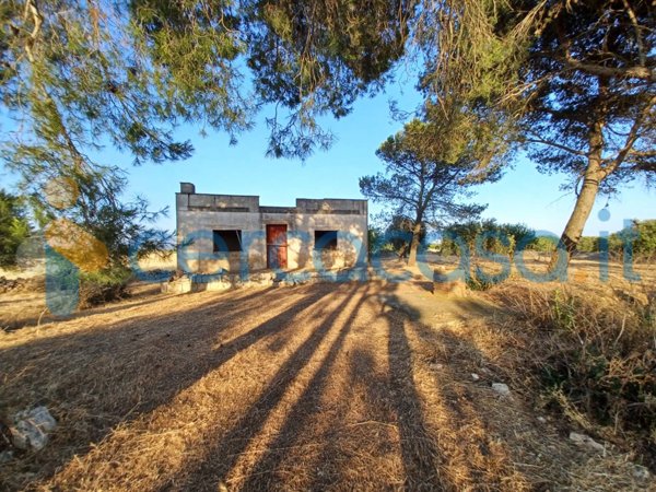 terreno agricolo in vendita a Mottola