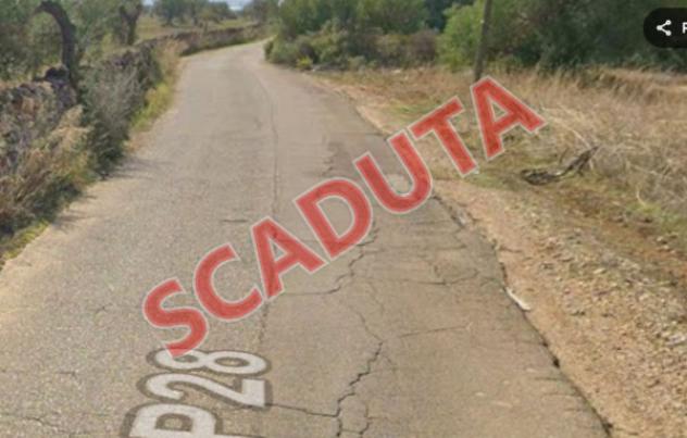 terreno agricolo in vendita a Mottola