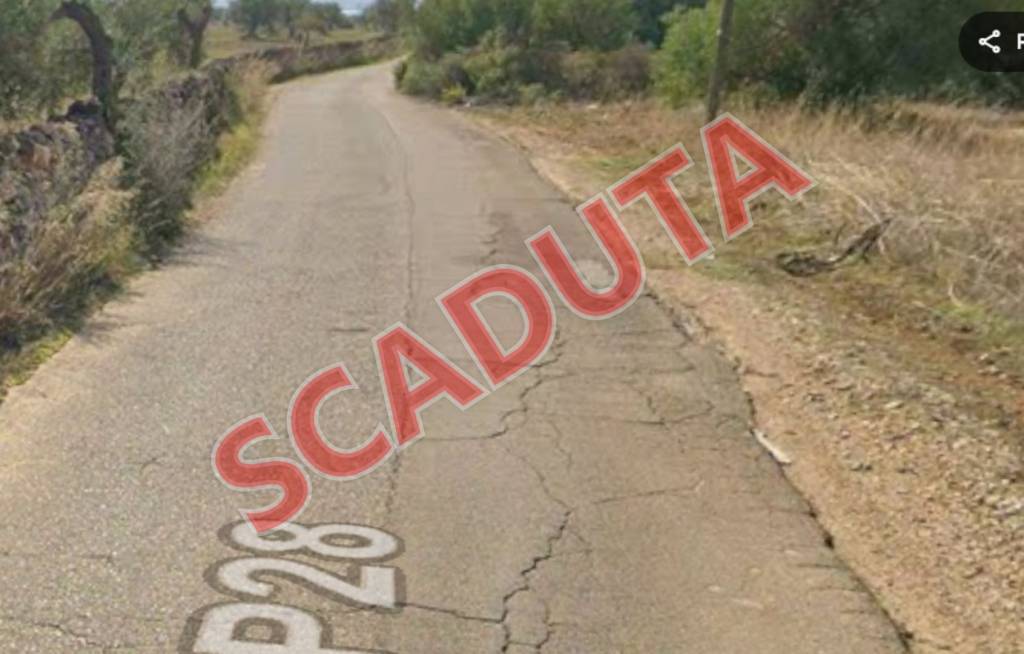 terreno agricolo in vendita a Mottola