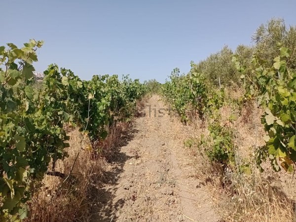 terreno in vendita a Mottola in zona San Basilio