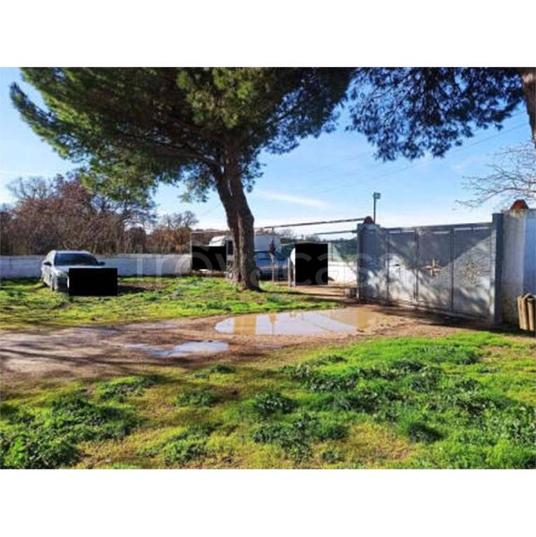 casa indipendente in vendita a Mottola