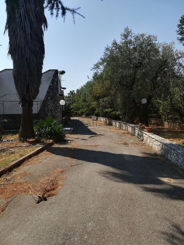 casa indipendente in vendita a Palagianello