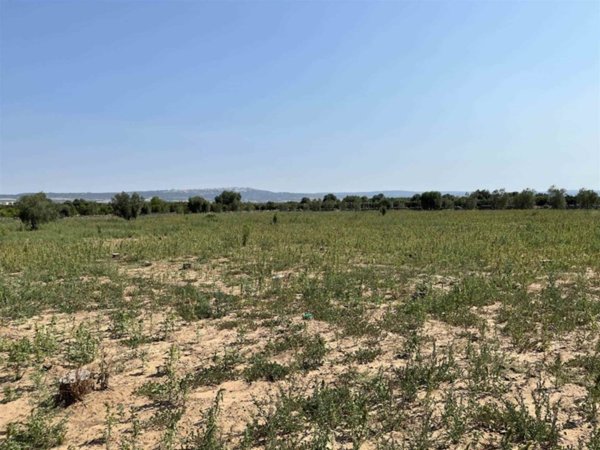 terreno agricolo in vendita a Palagiano