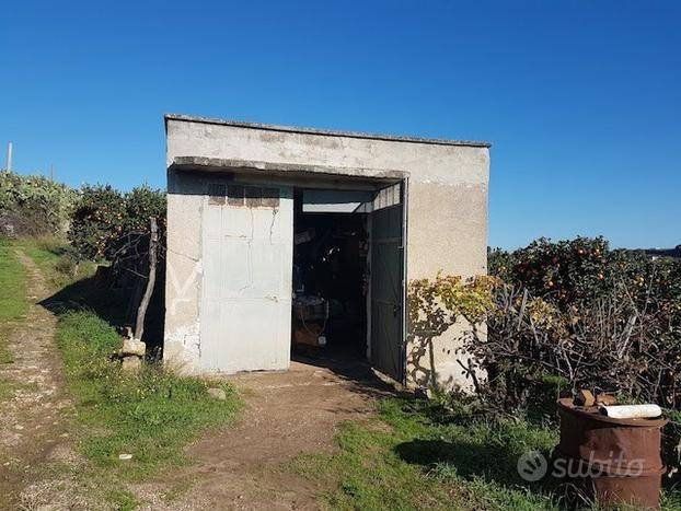 terreno agricolo in vendita a Palagiano