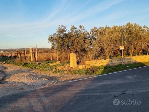 terreno agricolo in vendita a Palagiano