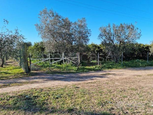 terreno agricolo in vendita a Palagiano