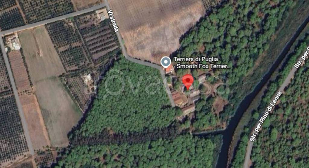 negozio in vendita a Palagiano