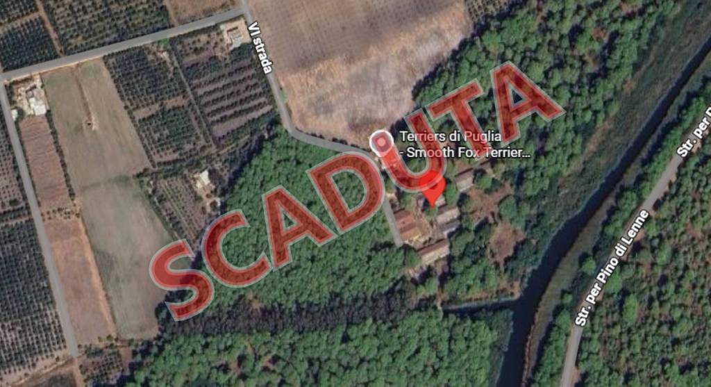 negozio in vendita a Palagiano